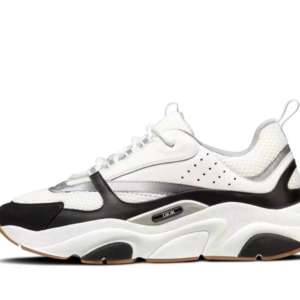 Dior B 22